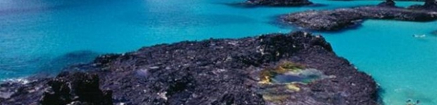 Cruzeiros em Fernando de Noronha?