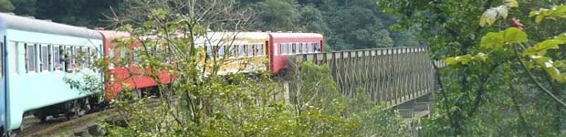 Passeio de Trem no Paraná