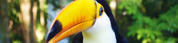 Parque das Aves, Foz do Iguaçu.