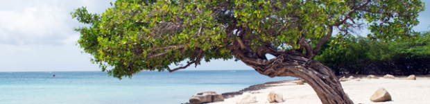 Aruba