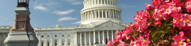 Washington DC
