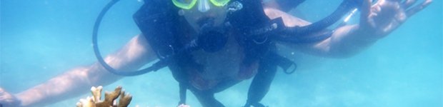 Piscinas naturais e Mergulho em Maragogi